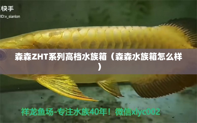 森森ZHT系列高檔水族箱（森森水族箱怎么樣）