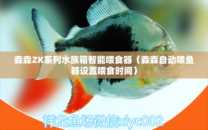 森森ZK系列水族箱智能喂食器（森森自動喂魚器設(shè)置喂食時(shí)間）