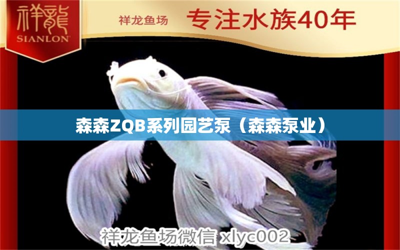 森森ZQB系列園藝泵（森森泵業(yè)） 森森魚缸