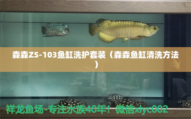 森森ZS-103魚缸洗護套裝（森森魚缸清洗方法）