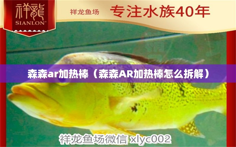 森森ar加熱棒（森森AR加熱棒怎么拆解） 森森魚缸