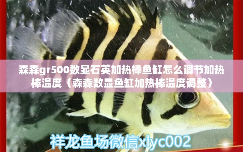 森森gr500數(shù)顯石英加熱棒魚缸怎么調(diào)節(jié)加熱棒溫度（森森數(shù)顯魚缸加熱棒溫度調(diào)整）