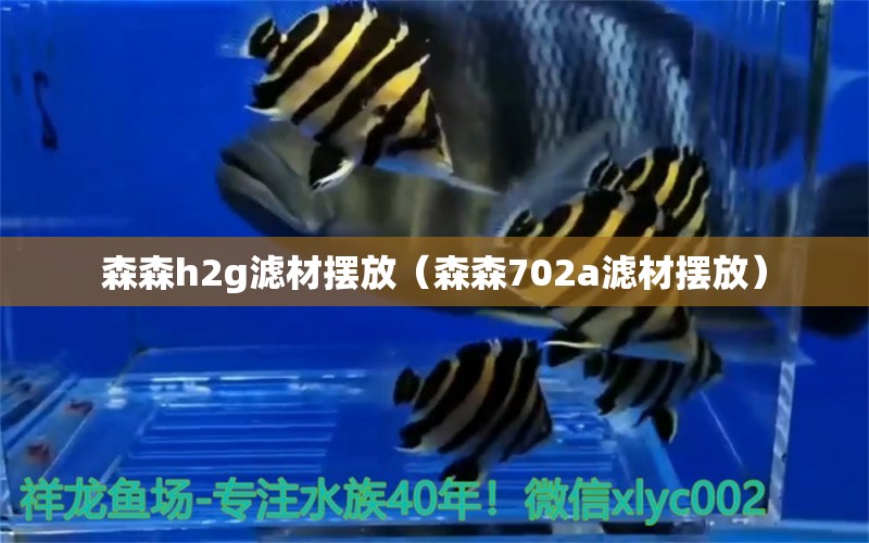 森森h(huán)2g濾材擺放（森森702a濾材擺放）