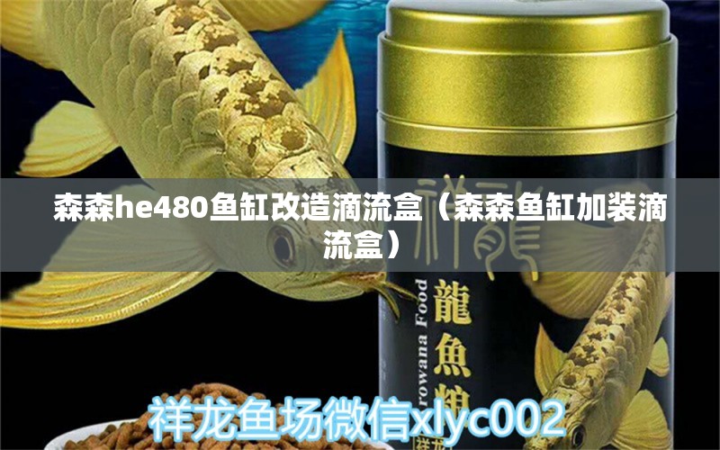 森森h(huán)e480魚缸改造滴流盒（森森魚缸加裝滴流盒）