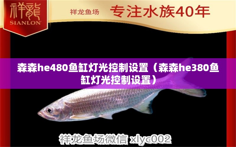 森森h(huán)e480魚缸燈光控制設(shè)置（森森h(huán)e380魚缸燈光控制設(shè)置）