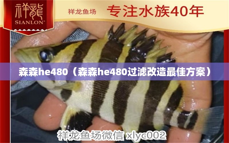 森森h(huán)e480（森森h(huán)e480過濾改造最佳方案） 過濾設備