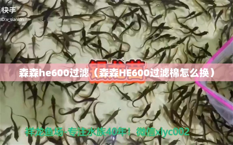 森森h(huán)e600過(guò)濾（森森HE600過(guò)濾棉怎么換） 森森魚缸