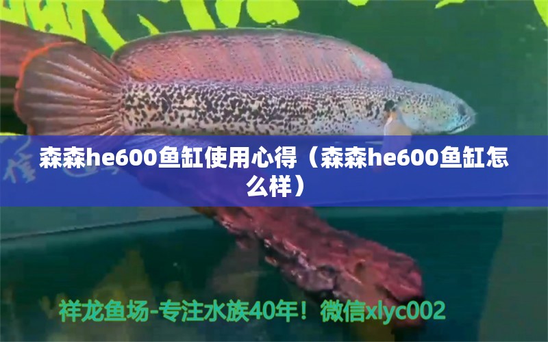 森森h(huán)e600魚缸使用心得（森森h(huán)e600魚缸怎么樣）