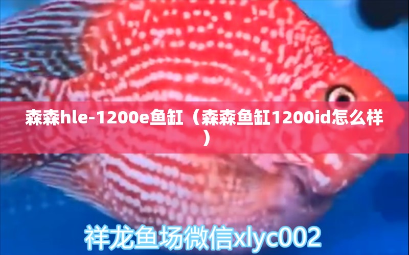 森森h(huán)le-1200e魚缸（森森魚缸1200id怎么樣）