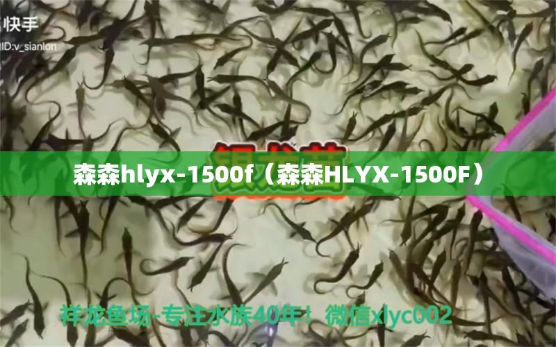 森森h(huán)lyx-1500f（森森HLYX-1500F）