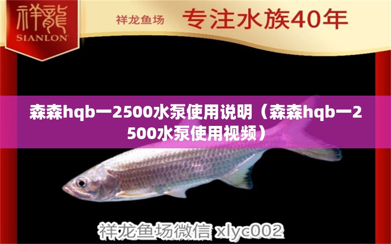 森森h(huán)qb一2500水泵使用說(shuō)明（森森h(huán)qb一2500水泵使用視頻）