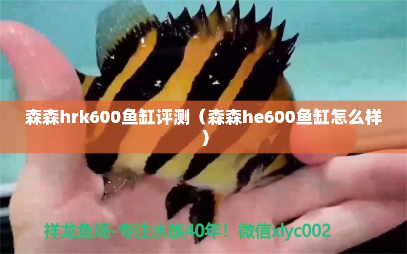 森森h(huán)rk600魚(yú)缸評(píng)測(cè)（森森h(huán)e600魚(yú)缸怎么樣）