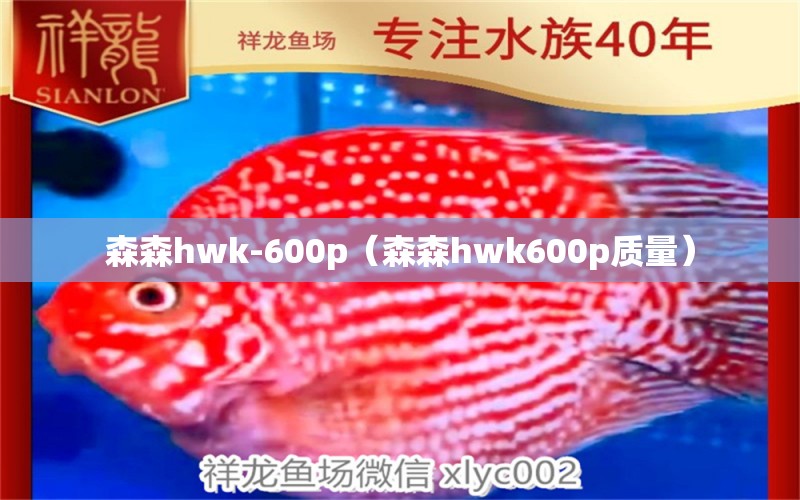 森森h(huán)wk-600p（森森h(huán)wk600p質(zhì)量）