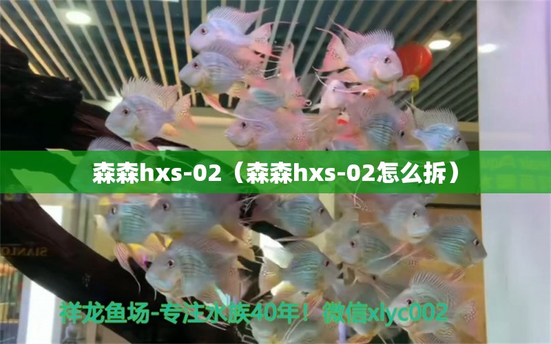 森森h(huán)xs-02（森森h(huán)xs-02怎么拆）