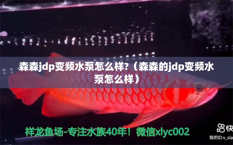 森森jdp變頻水泵怎么樣?（森森的jdp變頻水泵怎么樣） 過濾設備