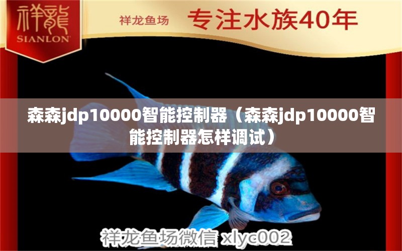 森森jdp10000智能控制器（森森jdp10000智能控制器怎樣調(diào)試） 森森魚缸