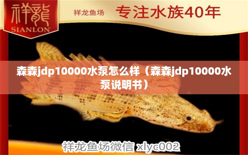 森森jdp10000水泵怎么樣（森森jdp10000水泵說明書）