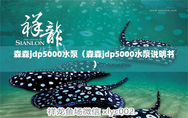 森森jdp5000水泵（森森jdp5000水泵說明書）