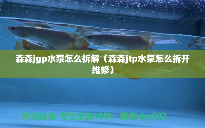 森森jgp水泵怎么拆解（森森jtp水泵怎么拆開維修）