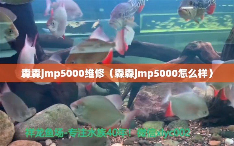 森森jmp5000維修（森森jmp5000怎么樣）