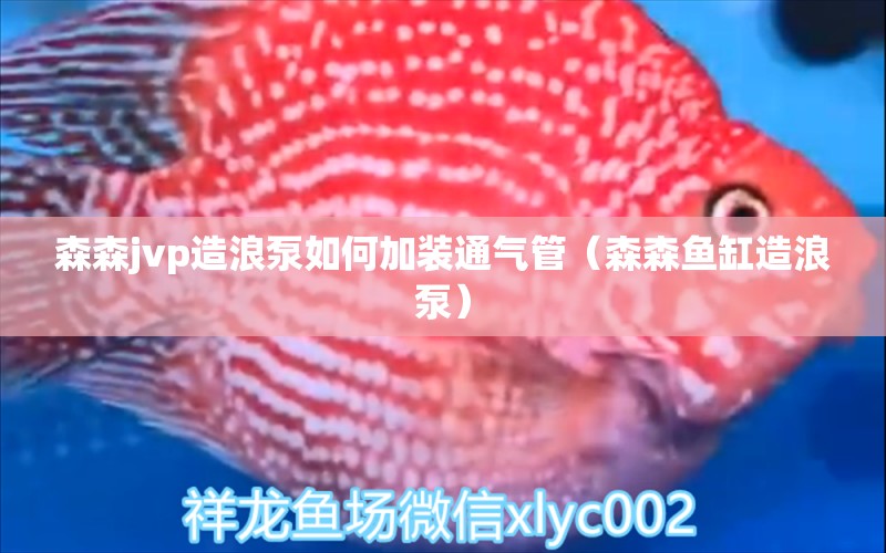 森森jvp造浪泵如何加裝通氣管（森森魚缸造浪泵） 森森魚缸