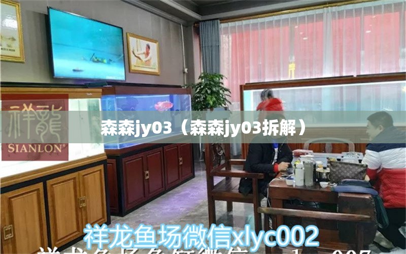 森森jy03（森森jy03拆解）