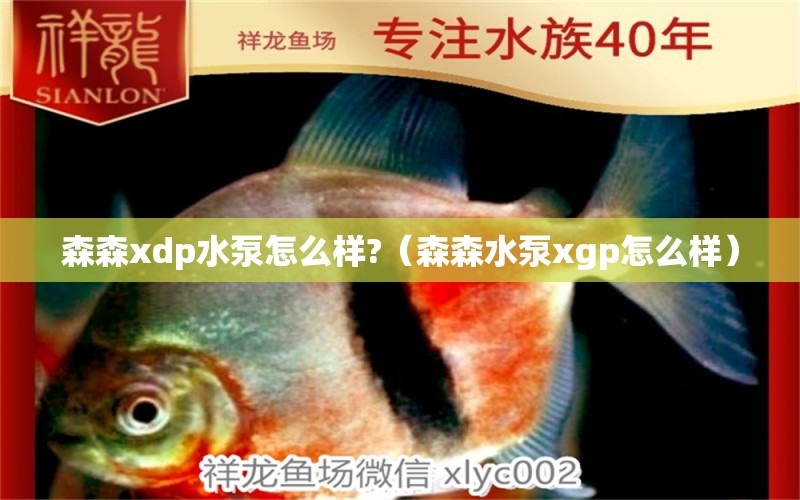 森森xdp水泵怎么樣?（森森水泵xgp怎么樣） 森森魚缸