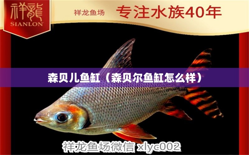 森貝兒魚缸（森貝爾魚缸怎么樣）