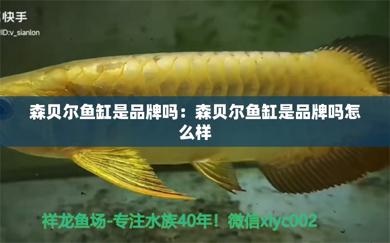 森貝爾魚缸是品牌嗎：森貝爾魚缸是品牌嗎怎么樣