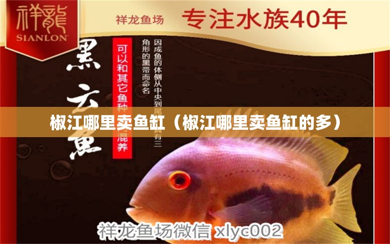 椒江哪里賣魚缸（椒江哪里賣魚缸的多）