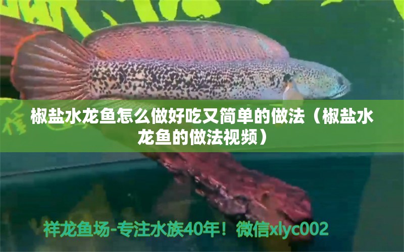 椒鹽水龍魚怎么做好吃又簡(jiǎn)單的做法（椒鹽水龍魚的做法視頻）