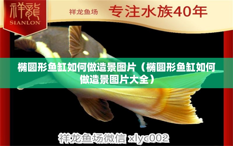 橢圓形魚缸如何做造景圖片（橢圓形魚缸如何做造景圖片大全）