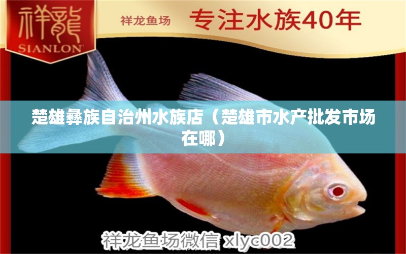 楚雄彝族自治州水族店（楚雄市水產(chǎn)批發(fā)市場在哪）