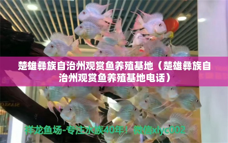 楚雄彝族自治州觀賞魚養(yǎng)殖基地（楚雄彝族自治州觀賞魚養(yǎng)殖基地電話）