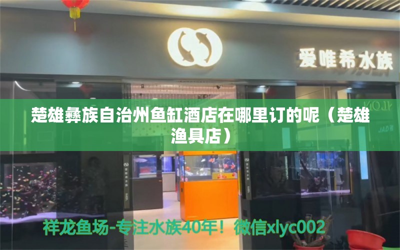 楚雄彝族自治州魚缸酒店在哪里訂的呢（楚雄漁具店） 藍(lán)帆三間魚