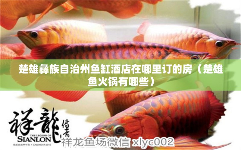 楚雄彝族自治州魚(yú)缸酒店在哪里訂的房（楚雄魚(yú)火鍋有哪些）