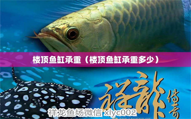 樓頂魚(yú)缸承重（樓頂魚(yú)缸承重多少） 祥龍水族醫(yī)院