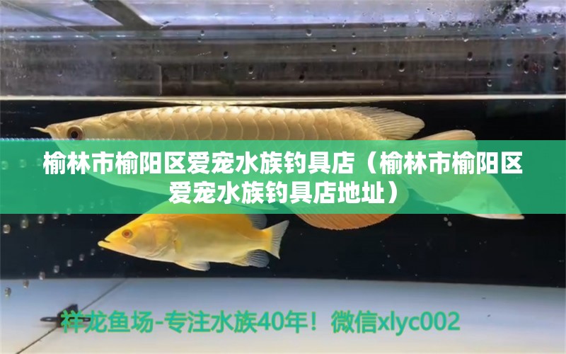 榆林市榆陽區(qū)愛寵水族釣具店（榆林市榆陽區(qū)愛寵水族釣具店地址）