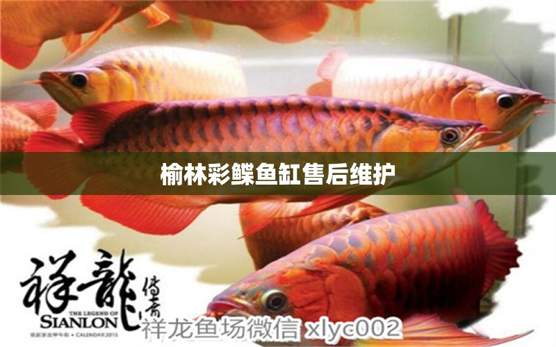 榆林彩鰈魚缸售后維護(hù)