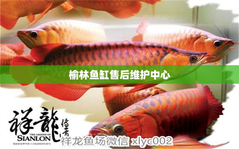 榆林魚缸售后維護(hù)中心 其他品牌魚缸