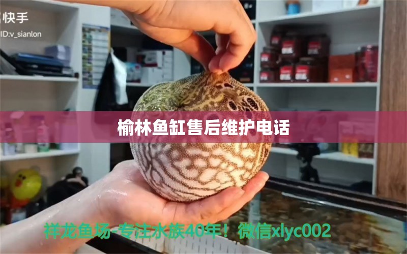 榆林魚缸售后維護電話 其他品牌魚缸