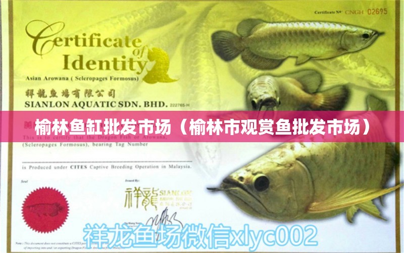 榆林魚(yú)缸批發(fā)市場(chǎng)（榆林市觀賞魚(yú)批發(fā)市場(chǎng)）