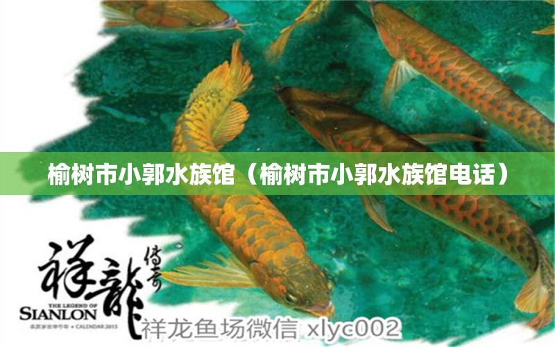 榆樹(shù)市小郭水族館（榆樹(shù)市小郭水族館電話） 全國(guó)水族館企業(yè)名錄