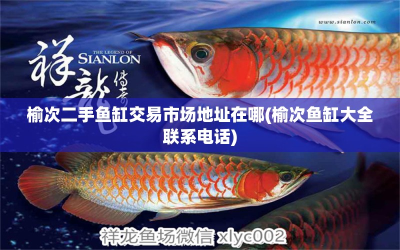 榆次二手魚(yú)缸交易市場(chǎng)地址在哪(榆次魚(yú)缸大全聯(lián)系電話(huà)) 元寶鳳凰魚(yú)專(zhuān)用魚(yú)糧