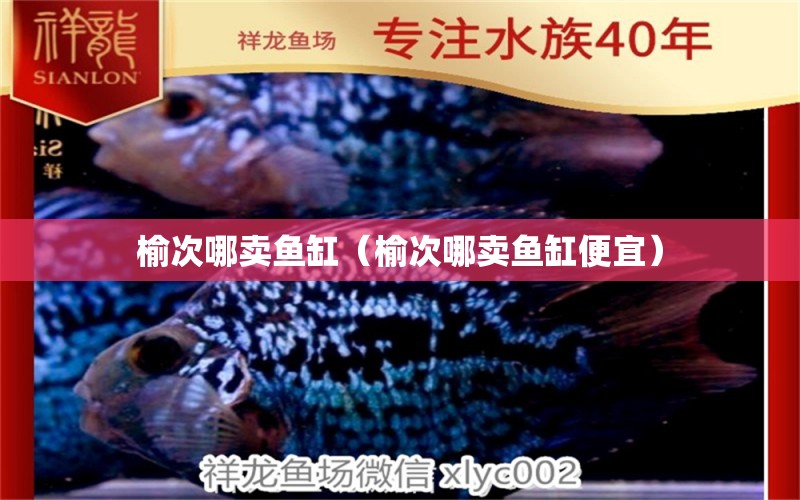 榆次哪賣魚缸（榆次哪賣魚缸便宜）