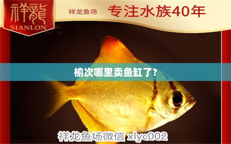 榆次哪里賣魚缸了?