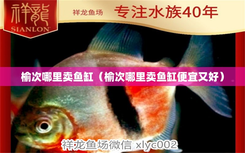 榆次哪里賣魚缸（榆次哪里賣魚缸便宜又好）