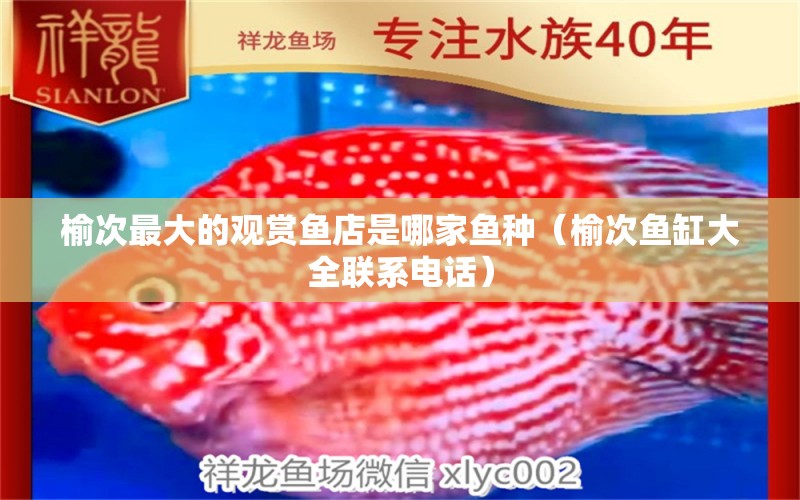 榆次最大的觀賞魚店是哪家魚種（榆次魚缸大全聯(lián)系電話）