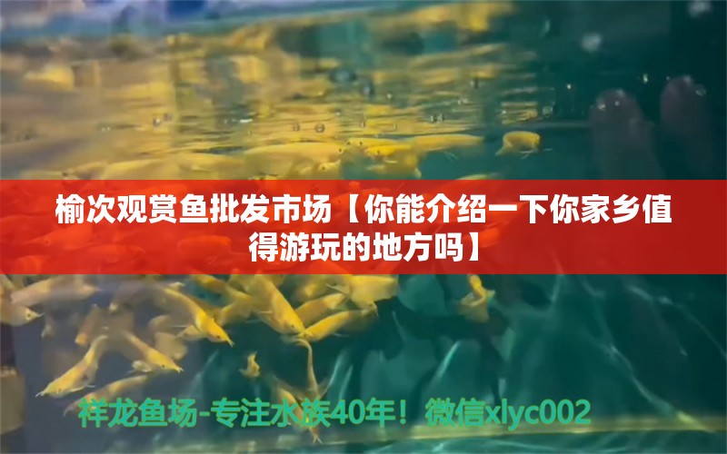 榆次觀賞魚批發(fā)市場【你能介紹一下你家鄉(xiāng)值得游玩的地方嗎】