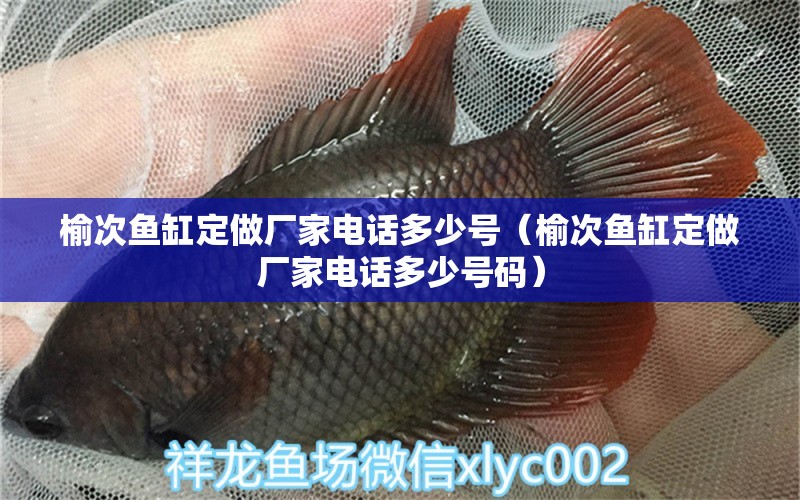 榆次魚(yú)缸定做廠家電話多少號(hào)（榆次魚(yú)缸定做廠家電話多少號(hào)碼）